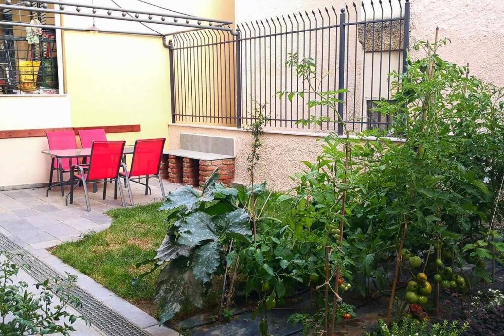 Cozy House With Garden In The Old Town Apartment Солун Екстериор снимка